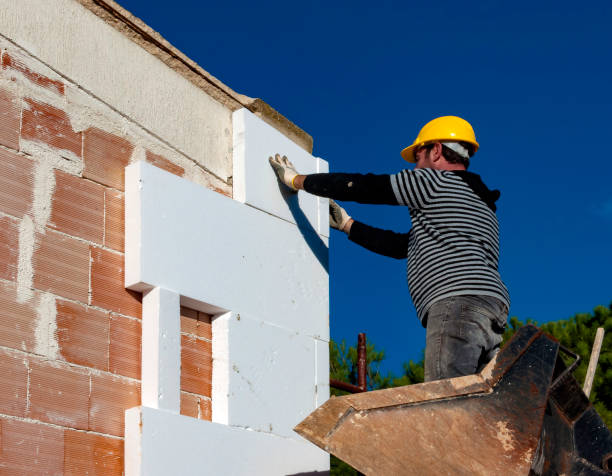 Best Attic Insulation Installation  in Woodville, MS