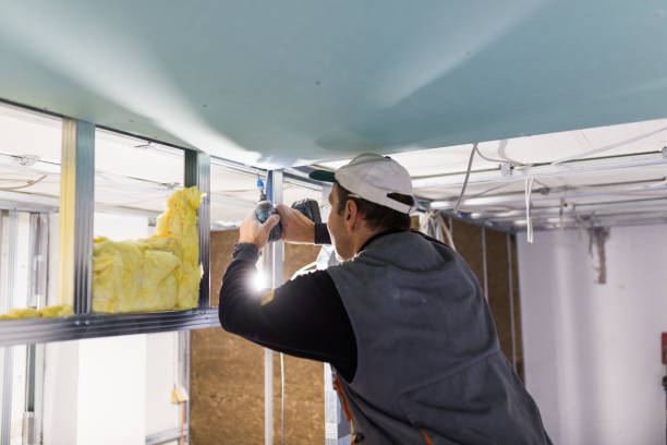 Best Affordable Insulation Services  in Woodville, MS