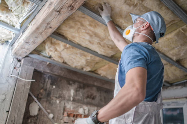 Best Insulation for New Construction  in Woodville, MS